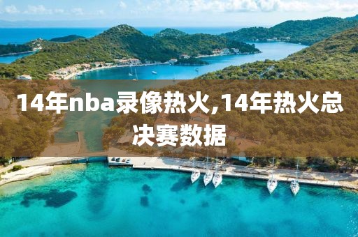 14年nba录像热火,14年热火总决赛数据