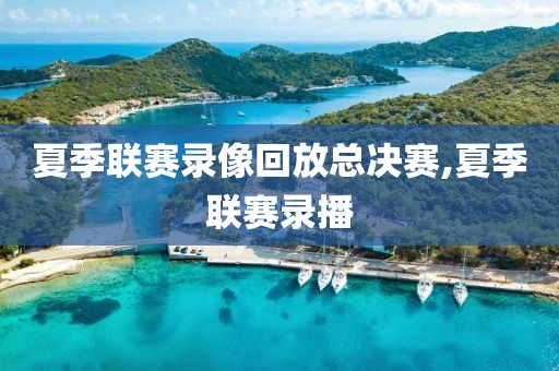 夏季联赛录像回放总决赛,夏季联赛录播